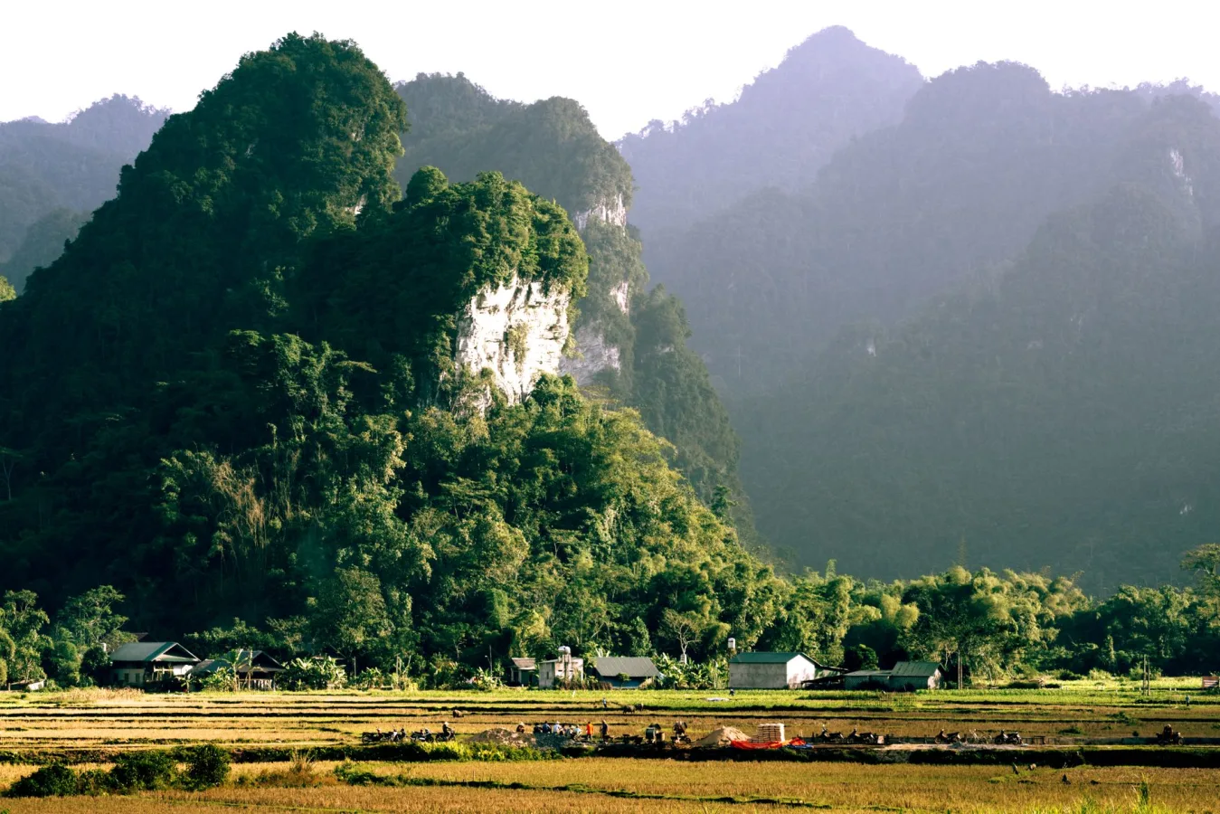 Miền Tây