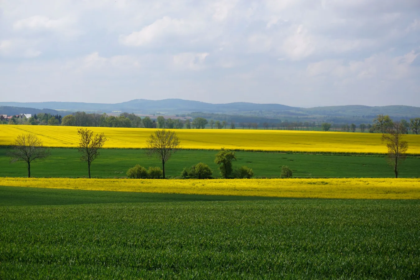 Khác