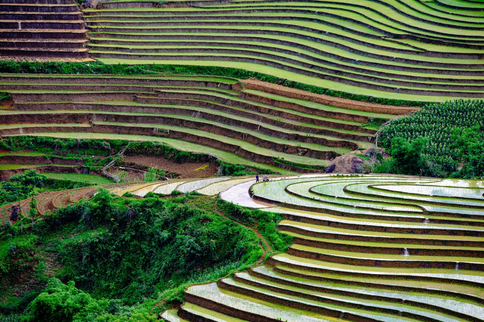 Lào Cai – Bình Biên – Mông Tự 2N1Đ