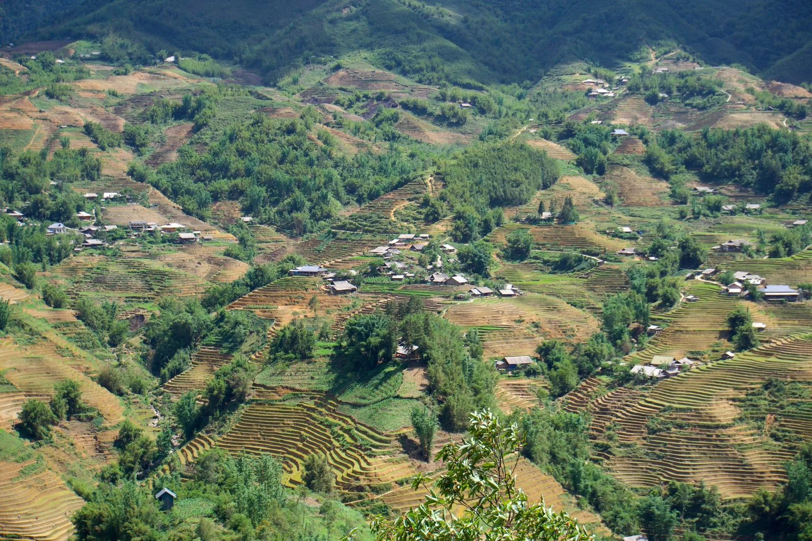Lào Cai – Bình Biên – Mông Tự 2N1Đ