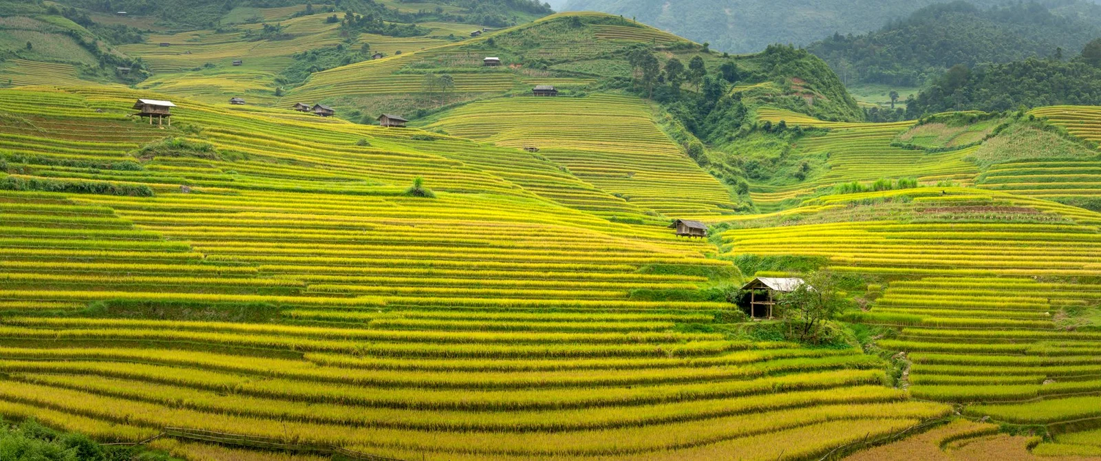 Hà Nội – Sapa – Cát Cát – Moana – Fansipan 2N1Đ