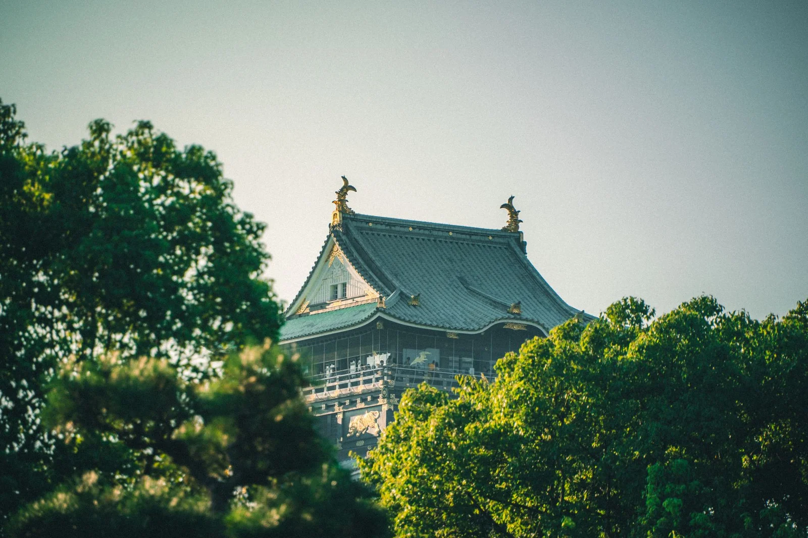 Osaka – Kyoto – Nagoya – Phú Sĩ – Tokyo 6N5Đ