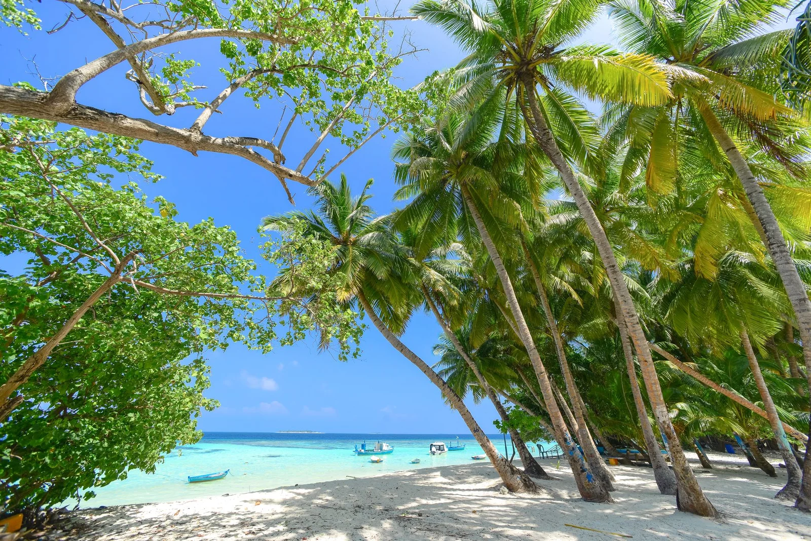 Maldives – Adaaran Select Hudhuranfushi 5N4Đ