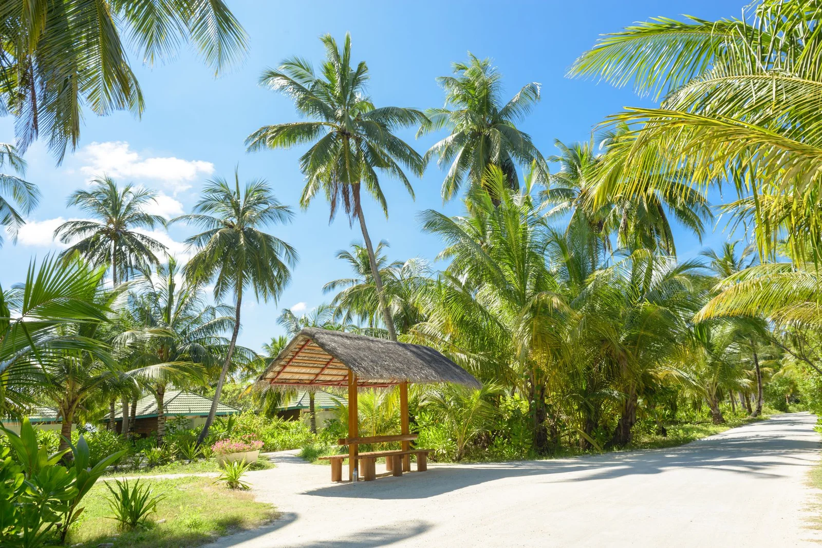 Siyam World Maldives 5* 5N4Đ