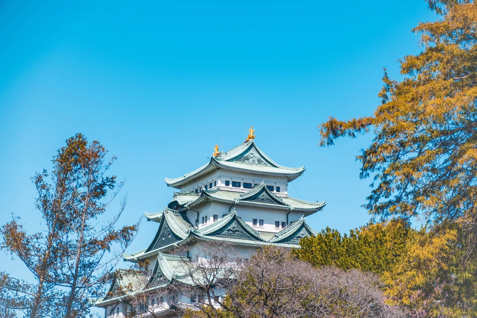 Nagoya – Nara – Osaka – Kyoto – Phú Sỹ – Tokyo 6N5Đ