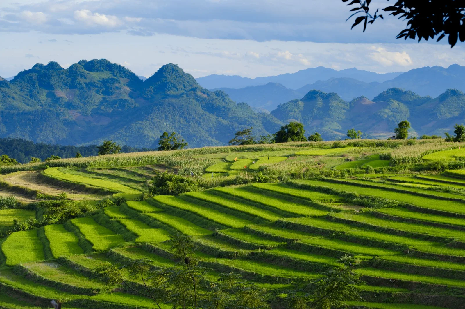 Hà Nội – Mai Châu – Mộc Châu – Sơn La – Điện Biên – Lai Châu – Sapa 5N4Đ