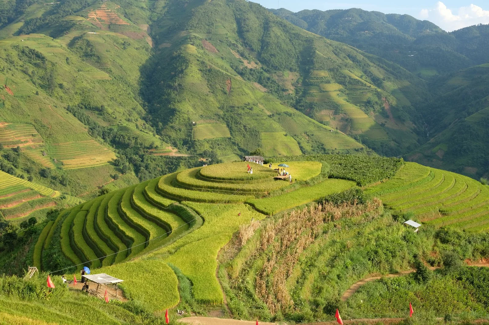 Hà Nội – Đồi Chè Thanh Sơn – Mù Cang Chải 2N1Đ
