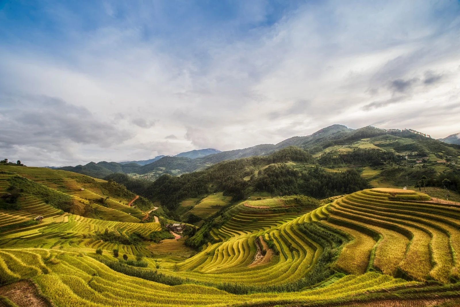 Hà Nội – Mù Cang Chải – Trạm Tấu 3N2Đ
