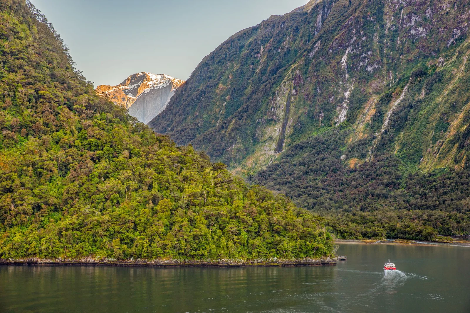Du Ngoạn New Zealand – Khám Phá Trọn Vẹn Hai Đảo 10N9Đ