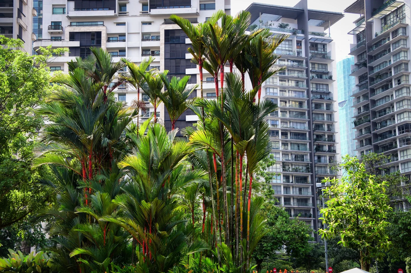 Hà Nội – Malaysia – Singapore 6N5Đ