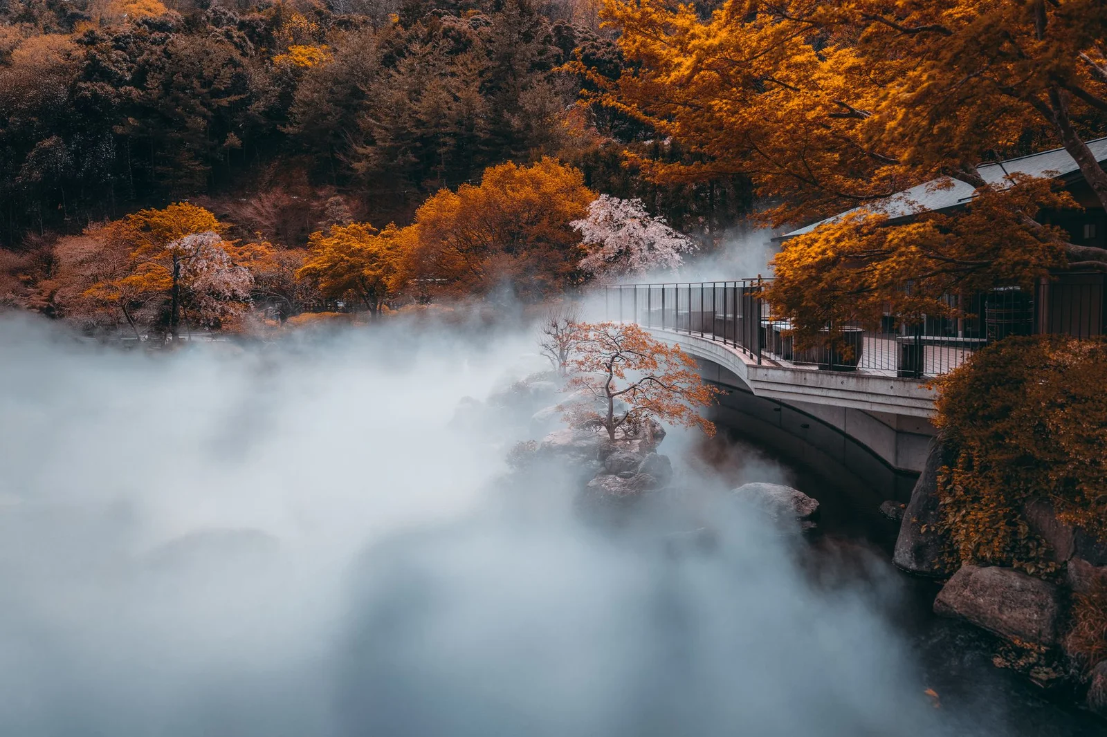 Nhật Bản – Núi Phú Sĩ – Tokyo City Tour 5N4Đ