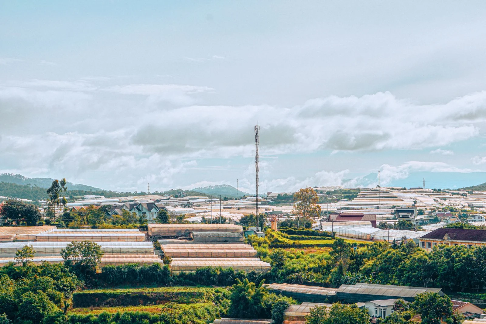 Hà Nội – Đà Lạt – Nha Trang – Hà Nội 5N4Đ