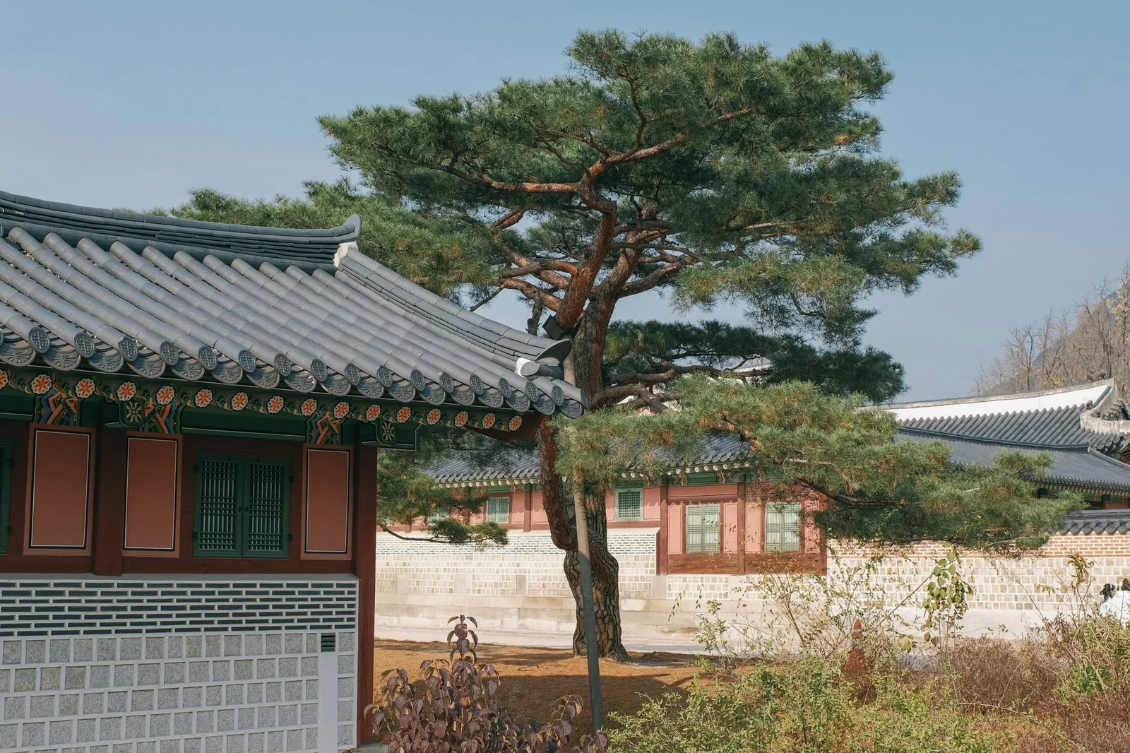 Seoul – Nami – Korean Folk Village – Trải Nghiệm Đào Sâm 5N4Đ