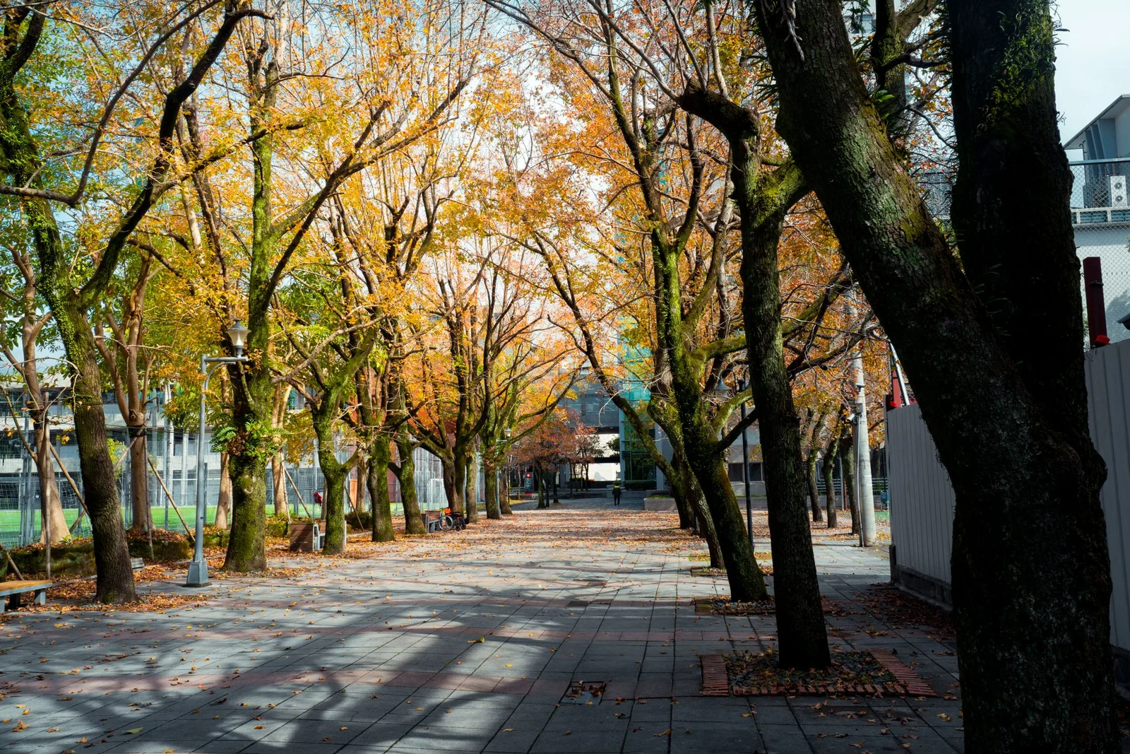 Hà Nội – Seoul – Nami – Everland 6N5Đ