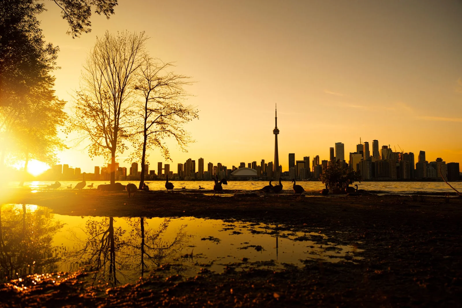Bờ Đông Canada – Khám Phá Bức Tranh Khảm Văn Hóa 8N7Đ